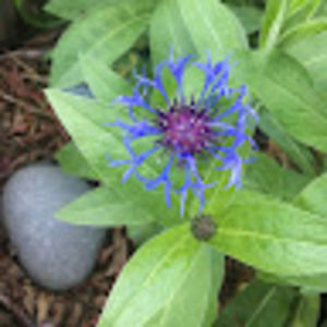 Meet your Posher, Sunshine